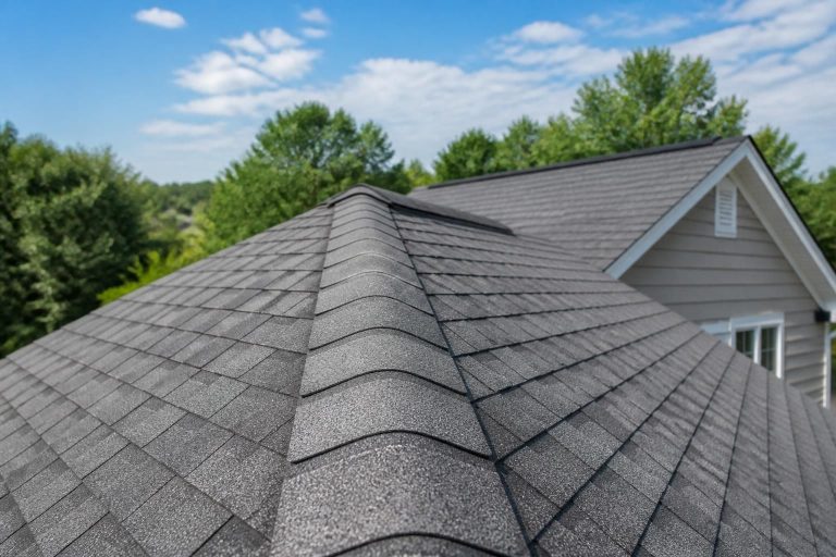 Roof Inspection